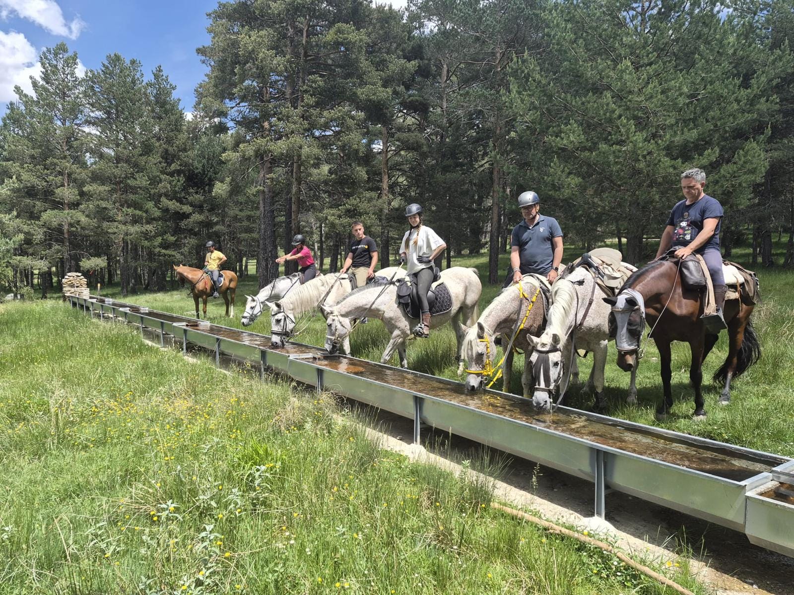 Grupo a caballo parado mientras los caballos beben en un abrevadero en la Vallesa