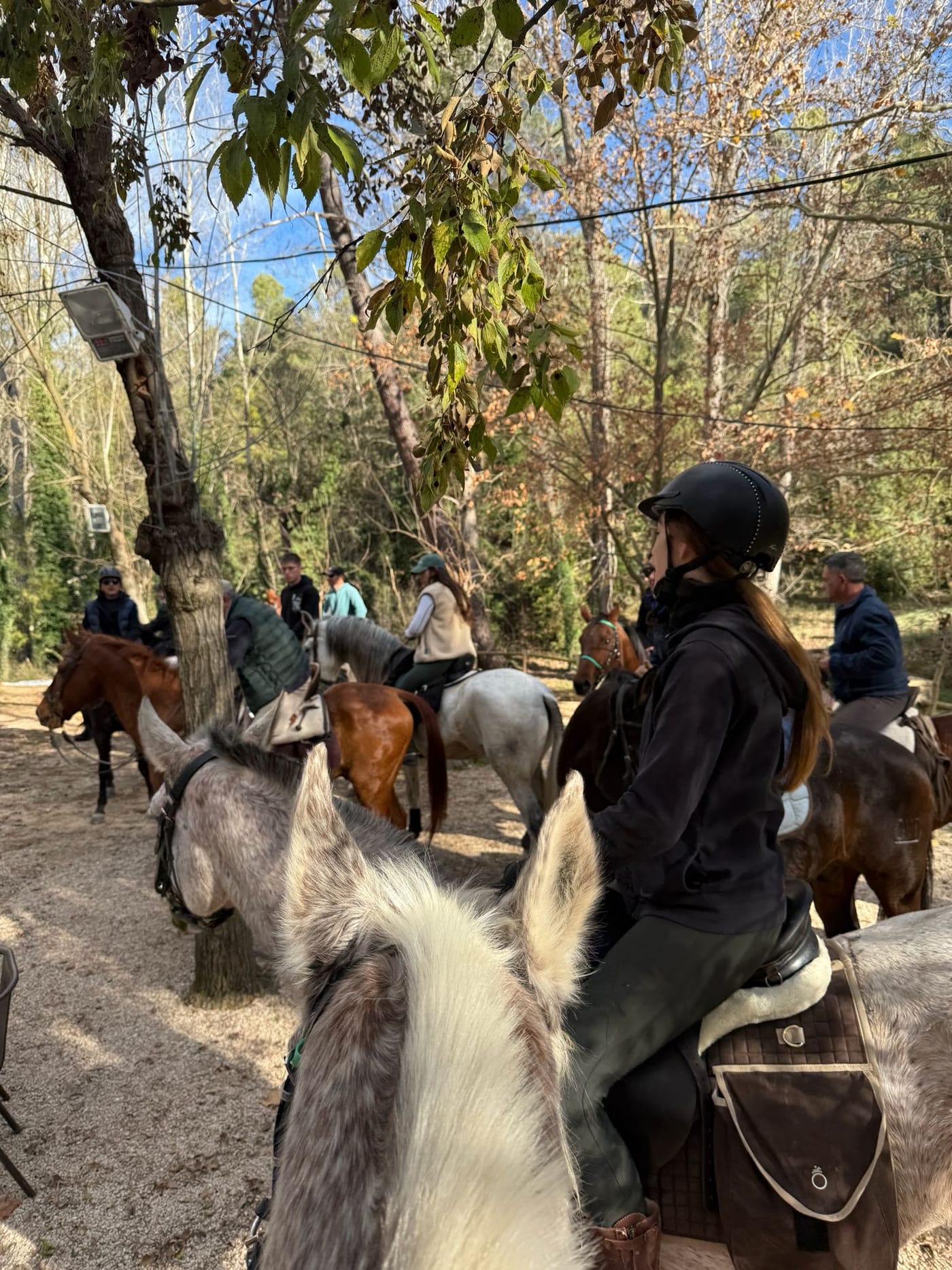 Grupo a caballo por el bosque del Parque Natural de la Vallesa en Valencia