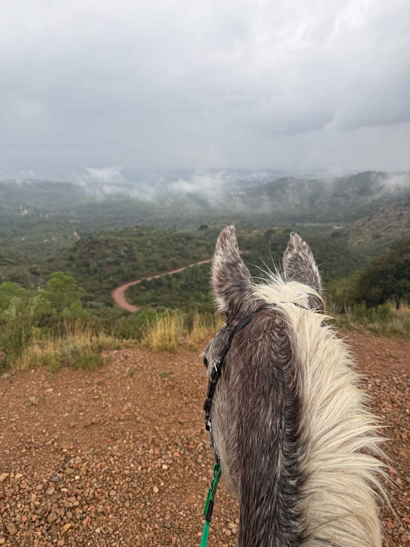 Vistas del valle entre las orejas del caballo durante una ruta por la Vallesa
