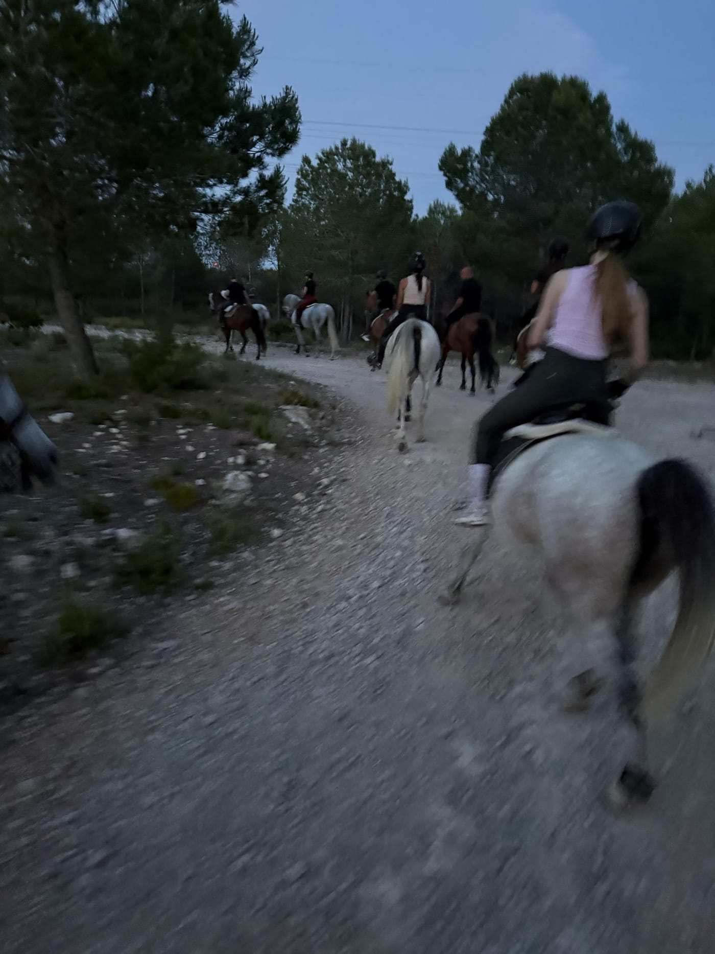 Ruta a caballo por un sendero de la Vallesa al atardecer